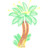 棕榈树 Palm Tree